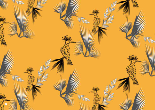 Wallpaper Birds Of Paradise Ornella Gallo